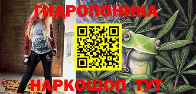 молекула духа Вязьма