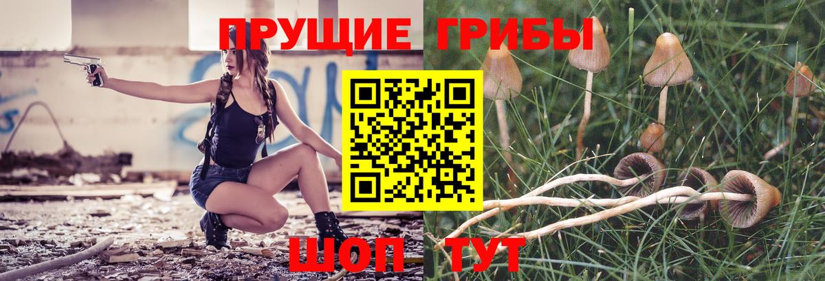 Владикавказ  Псилоцибиновые грибы прущие грибы  Вход с VPN  Псилоцибиновые грибы ЛСД 