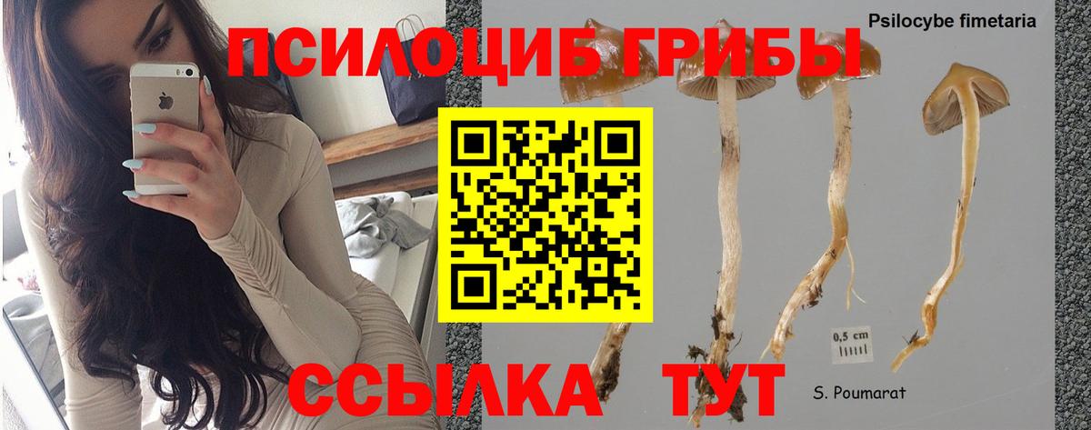 Галлюциногенные грибы мицелий Владикавказ