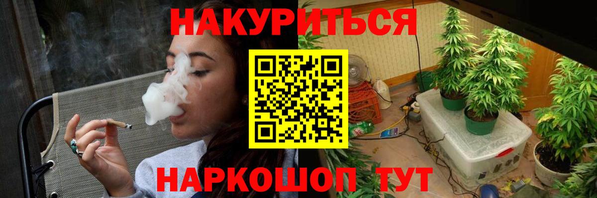 Бошки марихуана план  Бошки марихуана AK-47  Канабис AK-47  Вход с VPN  Владикавказ  Бошки марихуана индика 